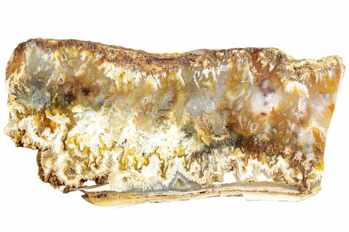 Graveyard Point Plume Agate Slab - Eastern Oregon #229062